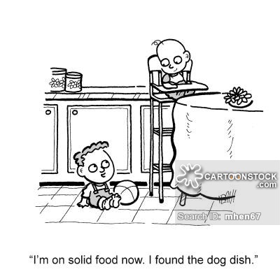 'I'm on solid food now. I found the dog dish.'